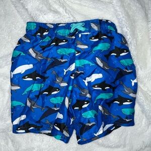 Gently used boys 5t swim trunks